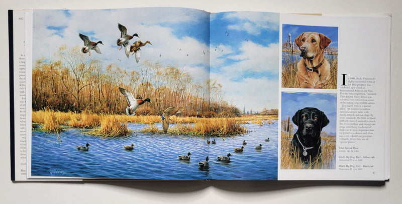 Killen: The Art of Jim Killen