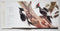 John A. Ruthven: In the Audubon Tradition