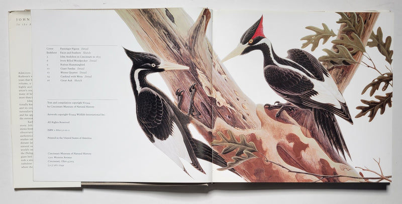 John A. Ruthven: In the Audubon Tradition