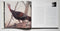 John A. Ruthven: In the Audubon Tradition