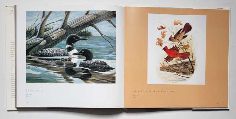John A. Ruthven: In the Audubon Tradition