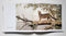 The Big Cats: The Paintings of Guy Coheleach