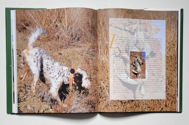 American Wingshooting : A Twentieth Century Pictorial Saga