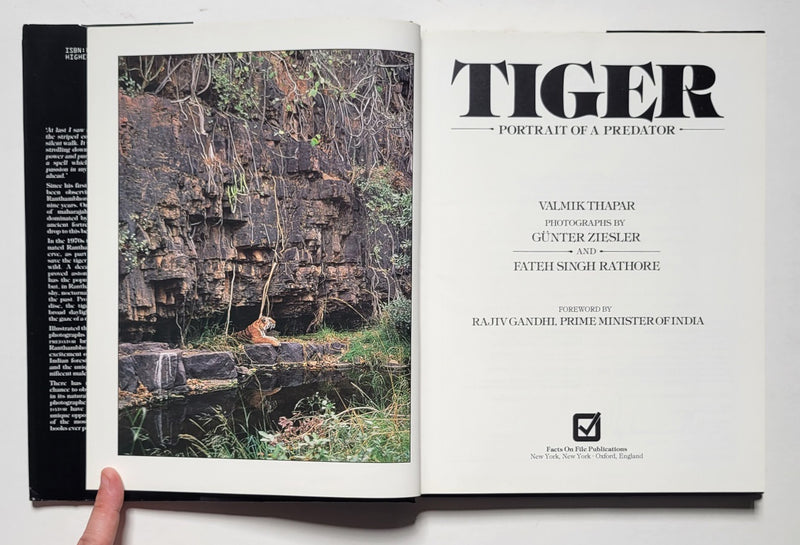 Tiger: Portrait of a Predator