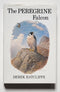 The Peregrine Falcon