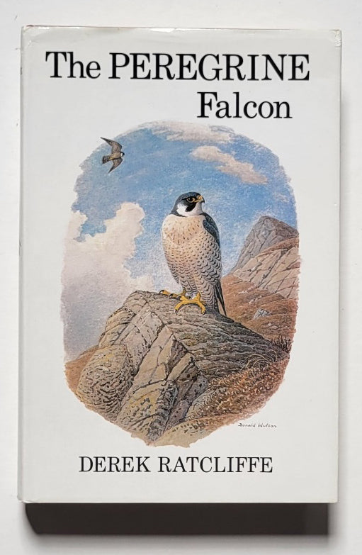 The Peregrine Falcon