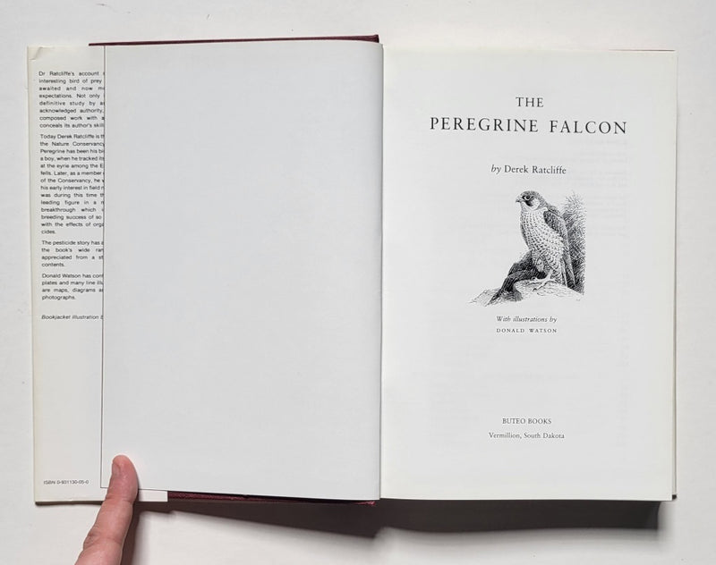 The Peregrine Falcon
