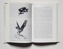 The Peregrine Falcon