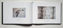 The Art of a Sporting Life: The Wildlife Art of David Hagerbaumer