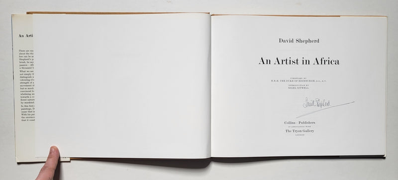 An artist in Africa