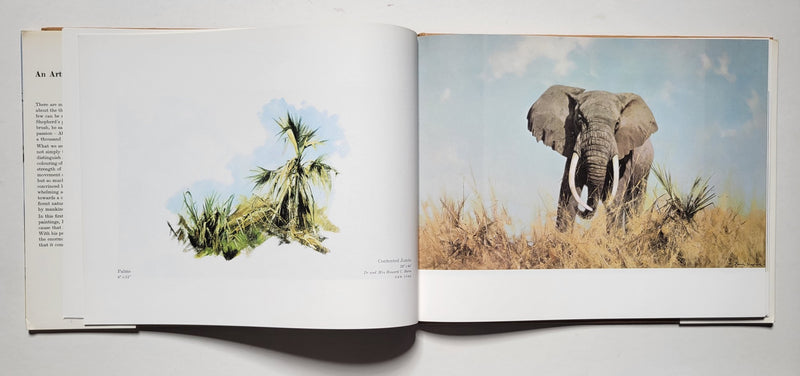 An artist in Africa