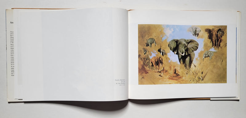 An artist in Africa