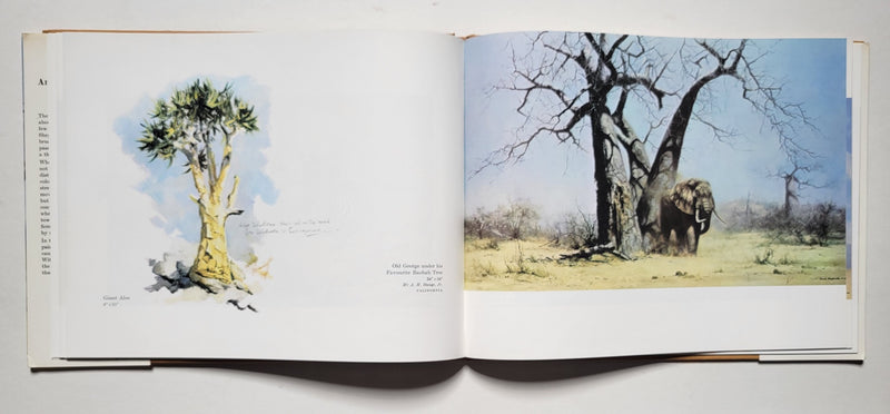 An artist in Africa