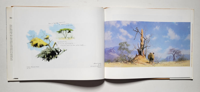 An artist in Africa
