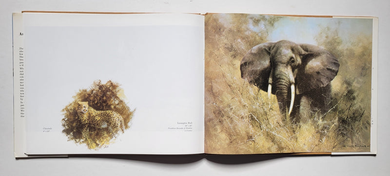 An artist in Africa