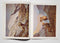 Carl Rungius: An Artist's View of Nature