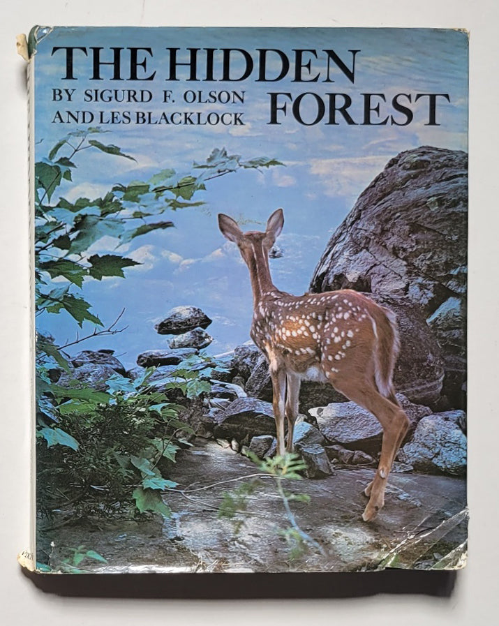 The Hidden Forest