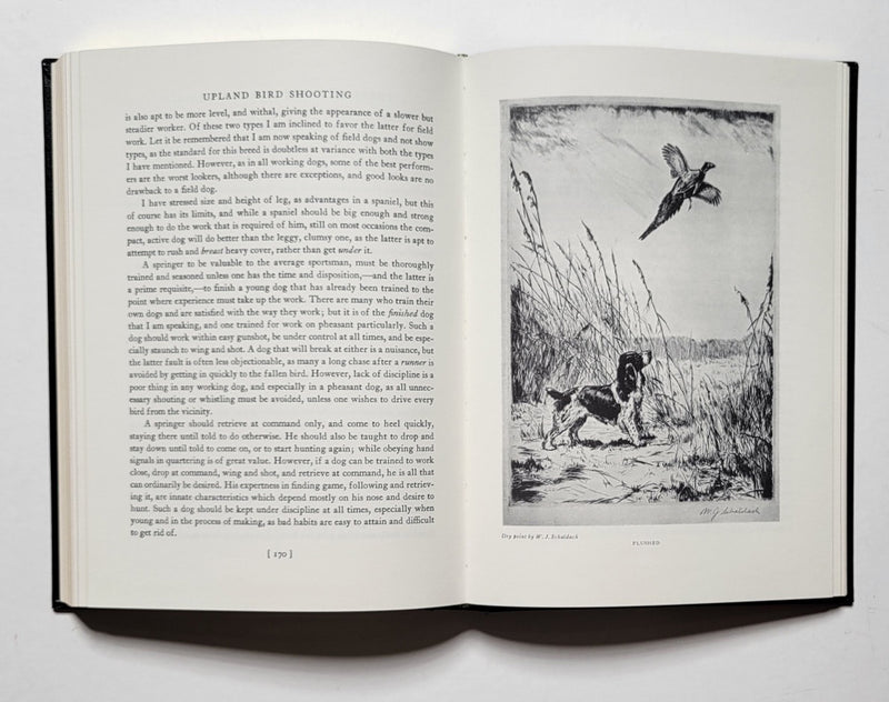 Upland Game Bird Shooting in America