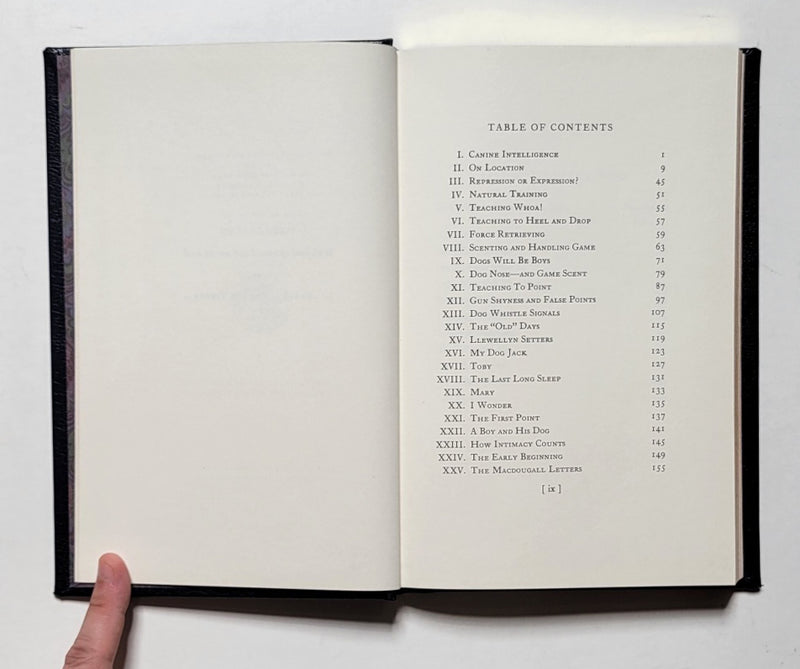 Point! A Book About Bird Dogs