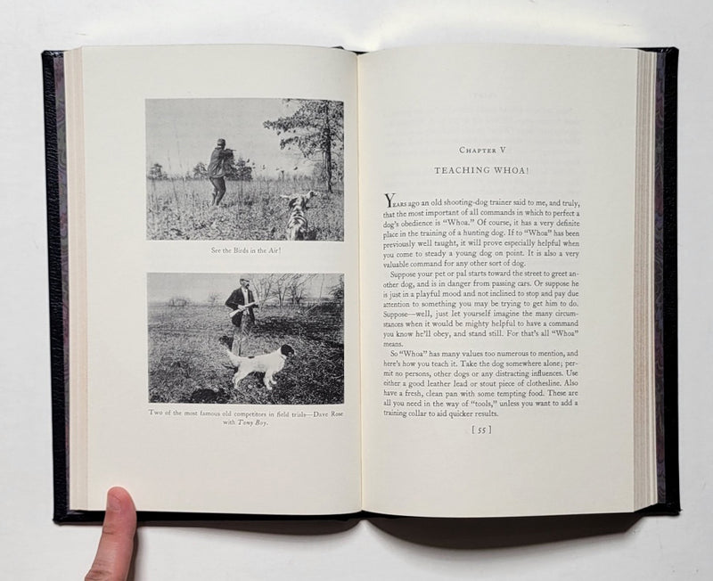 Point! A Book About Bird Dogs