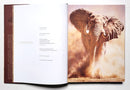 African Menagerie: A Celebration of Nature