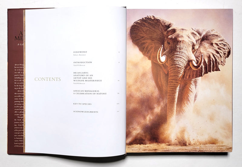 African Menagerie: A Celebration of Nature