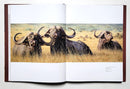 African Menagerie: A Celebration of Nature