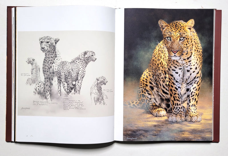 African Menagerie: A Celebration of Nature