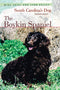 The Boykin Spaniel: South Carolina's Dog