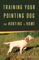 Training Your Pointing Dog for Hunting & Home