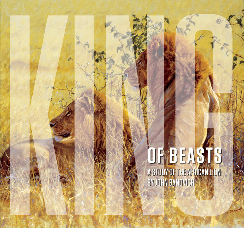 King of Beasts: A Study of the African Lion - Collector's Edition -Signed by John Banovich