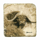 Italian Big Five Marble Coasters - Sporting Classics Store