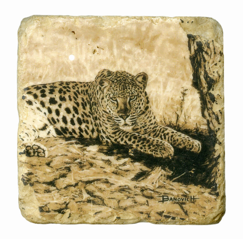 Italian Big Five Marble Coasters - Sporting Classics Store