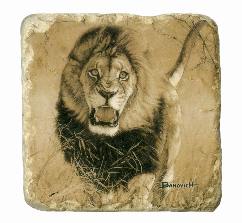 Italian Big Five Marble Coasters - Sporting Classics Store