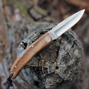 Castillo Listo - Olive Wood