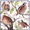 McKenna Quinn Quail Family Silk Scarf