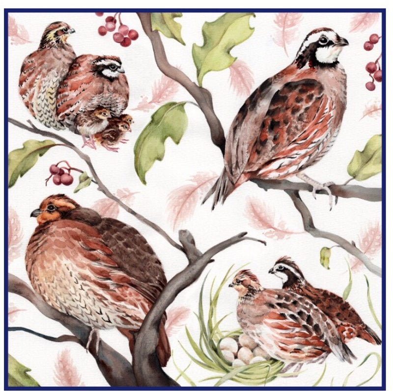 McKenna Quinn Quail Family Silk Scarf