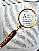 Zebra Magnifying Glass - Sporting Classics Store