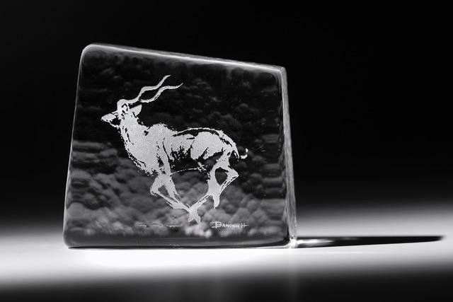 Poetry In Motion (Kudu) Paperweight