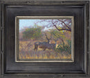 Kudu In The Lowveld By John Banovich