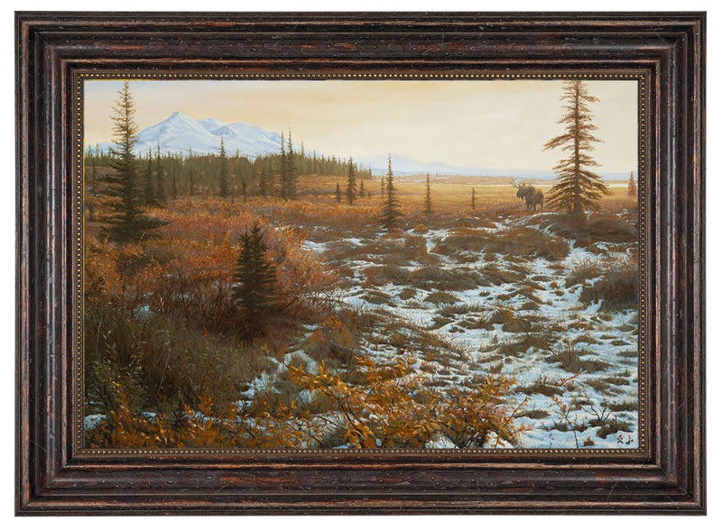 Moose Country By John Banovich