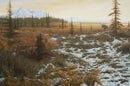 Moose Country By John Banovich