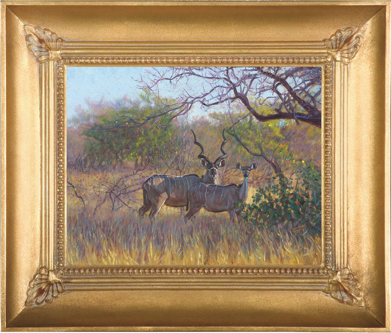 Kudu In The Lowveld By John Banovich