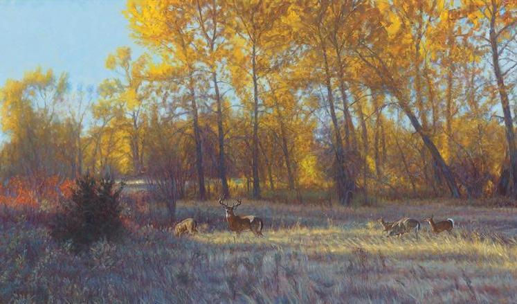 Montana Gold By John Banovich