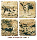 African Ungulates II Marble Coasters by John Banovich