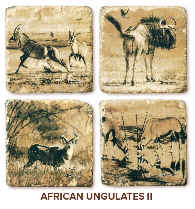 African Ungulates II Marble Coasters by John Banovich