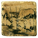 African Ungulates II Marble Coasters by John Banovich