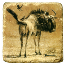 African Ungulates II Marble Coasters by John Banovich