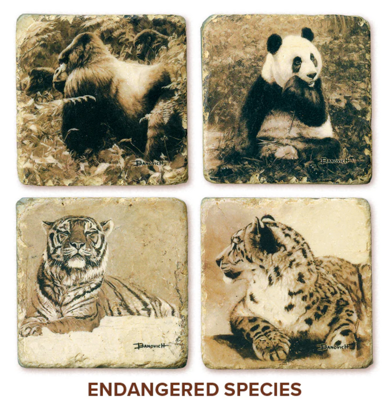 Endangered Species Marble Coasters by John Banovich