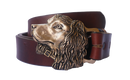 Boykin Spaniel - Sporting Classics Store